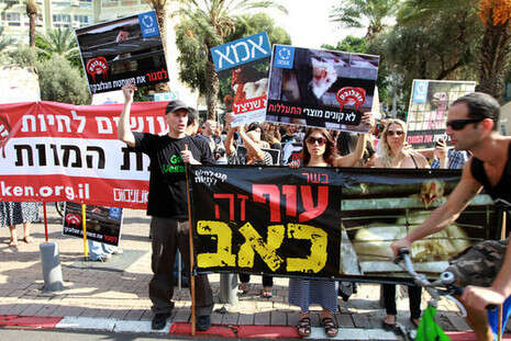 צילום: אלי דסה צילום: אלי דסה