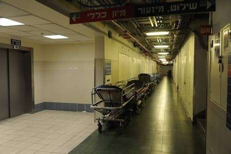 צילום: ראובן קסטרו