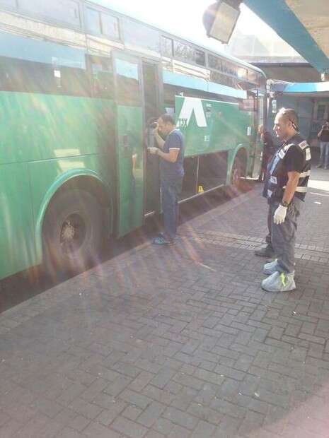 יואב גרינשפון שושנת העמקים אגד עפולה יואב גרינשפון שושנת העמקים אגד עפולה