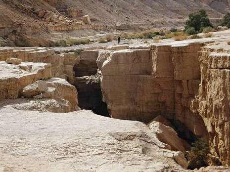צילום דובי זכאי צילום דובי זכאי