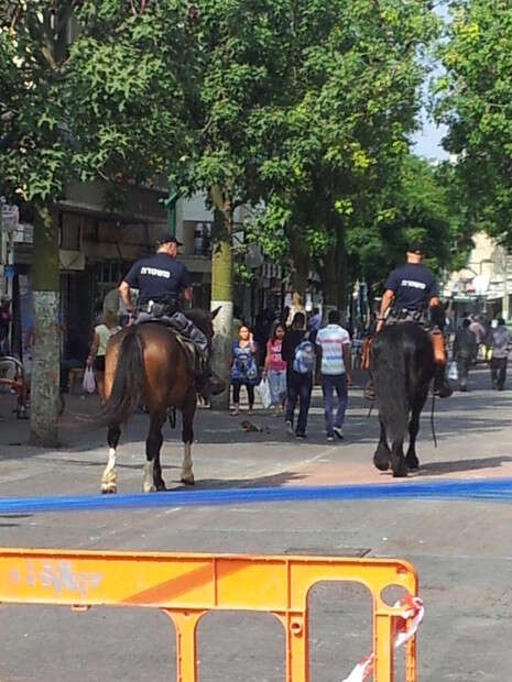 צילום: יובל גורן צילום: יובל גורן