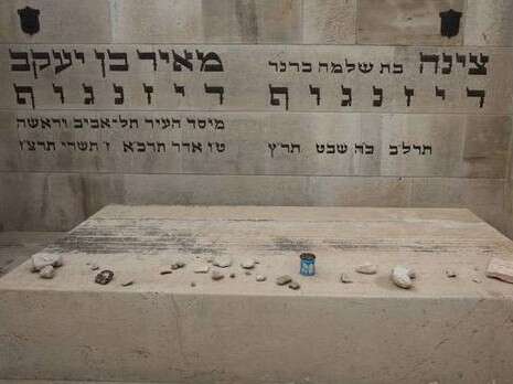 צילום: יוסי אלוני צילום: יוסי אלוני
