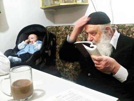 צילום: צביקה יעקובזון צילום: צביקה יעקובזון