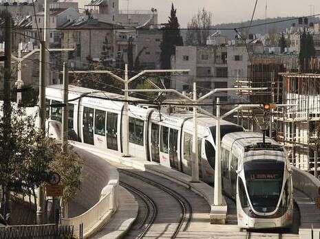 צילום: מירי צחי צילום: מירי צחי
