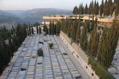 צילום: ראובן קסטרו צילום: ראובן קסטרו