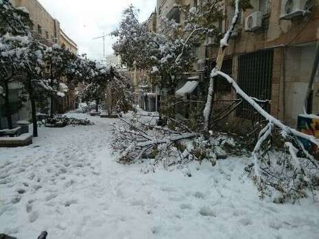 צילום: ניצן פרידמן צילום: ניצן פרידמן