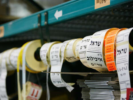 צילום: ליעד דרך צילום: ליעד דרך