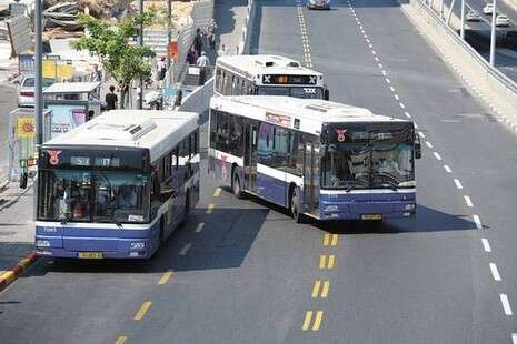 צילום: ראובן קסטרו צילום: ראובן קסטרו
