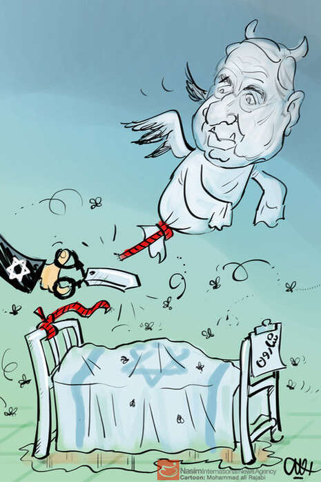 צילום: צילום: