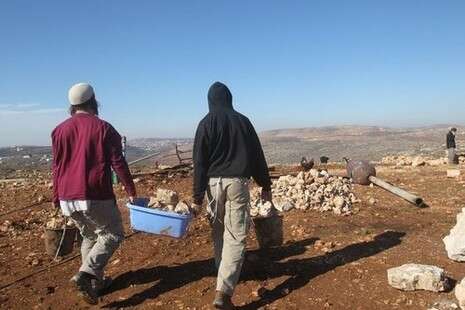 צילום: מרים צחי צילום: מרים צחי