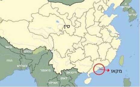 צילום: צילום: