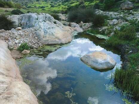 צילום: שחר כהן צילום: שחר כהן
