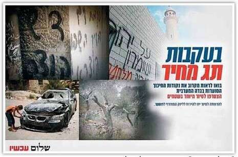 צילום: צילום: