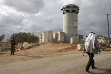 צילום: יוסי אלוני צילום: יוסי אלוני