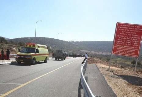 צילום: מרים צחי צילום: מרים צחי