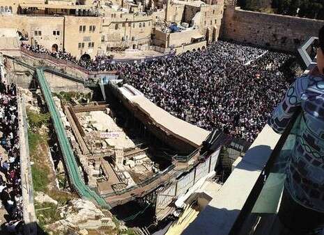 צילום: יעקב הולצברג צילום: יעקב הולצברג