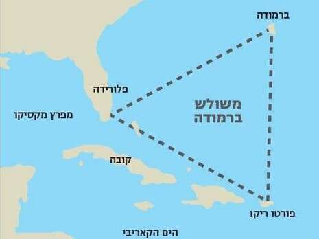 צילום: צילום: