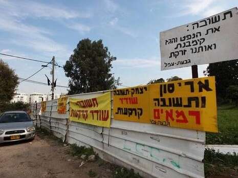 צילום: יוסי אלוני צילום: יוסי אלוני
