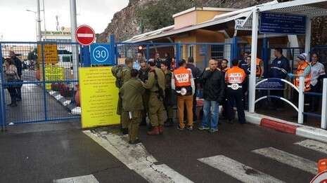 צילום: יהודה בן יתח צילום: יהודה בן יתח