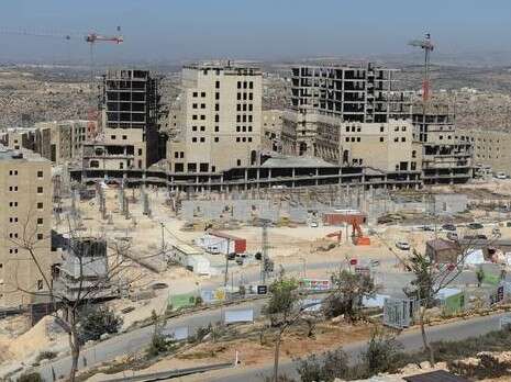 צילום: ראובן קסטרו צילום: ראובן קסטרו