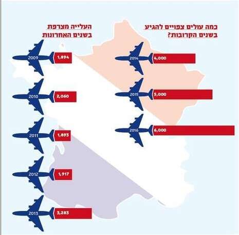 צילום: צילום: