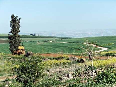צילום: דובי זכאי צילום: דובי זכאי