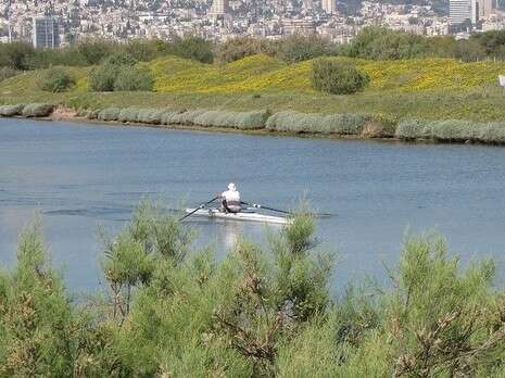 צילום: גיל גוטמן צילום: גיל גוטמן