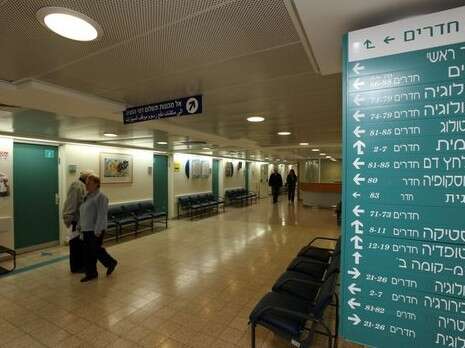צילום: יהודה לחיאני צילום: יהודה לחיאני