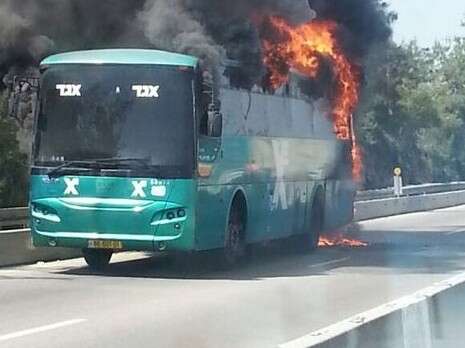 צילום: אור חדשות 24/7 צילום: אור חדשות 24/7