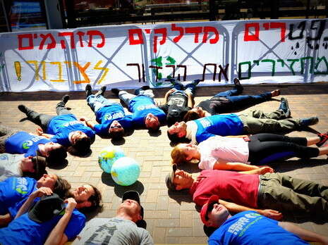 צילום: באדיבות מגמה ירוקה צילום: באדיבות מגמה ירוקה