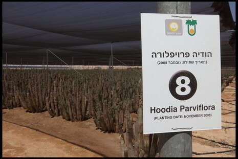 צילום: יוסי אלוני צילום: יוסי אלוני
