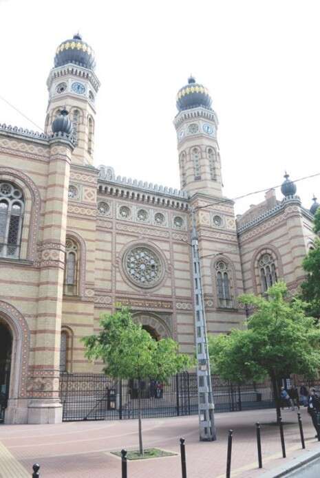 צילום: איציק תורג'מן צילום: איציק תורג'מן