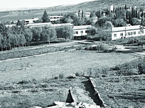 צילום: קלוגר זולטן, לע''מ צילום: קלוגר זולטן, לע''מ