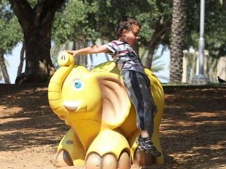 צילום: מרים צחי צילום: מרים צחי
