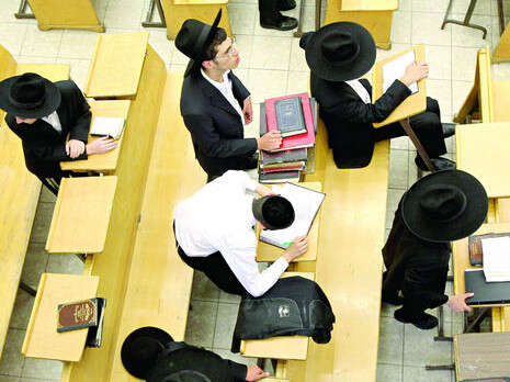 צילום: דני מרון צילום: דני מרון