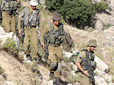 צילום: מירי צחי צילום: מירי צחי