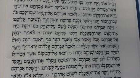 מערכת מערכת