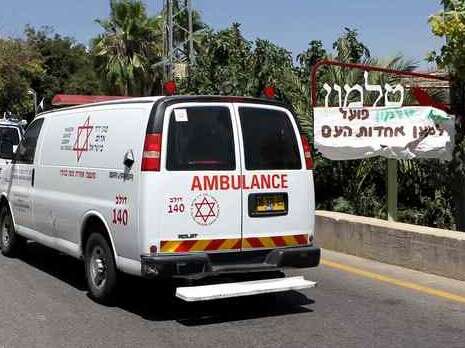צילום: דני מרון צילום: דני מרון