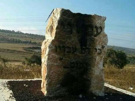 צילום: חגי זיו צילום: חגי זיו