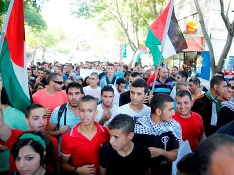 צילום: באדיבות אתר פאנט צילום: באדיבות אתר פאנט