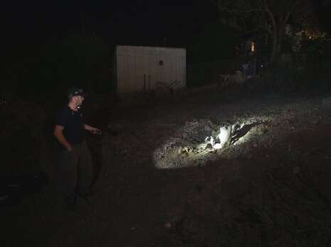צילום: פלאש 90 צילום: פלאש 90