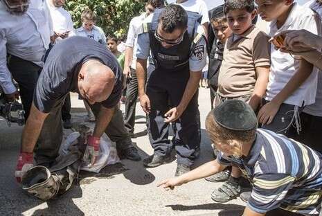צילום: AFP צילום: AFP