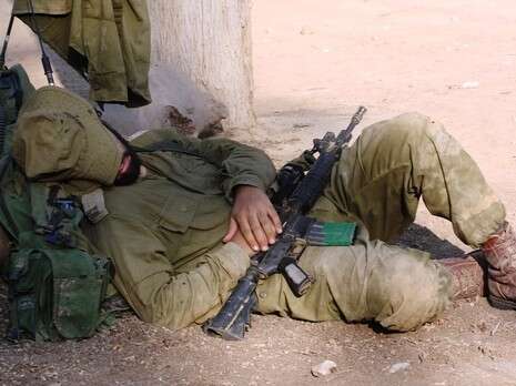 צילום: מרים צחי צילום: מרים צחי
