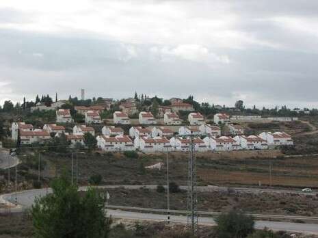 צילום: מיכאל יעקובסון צילום: מיכאל יעקובסון