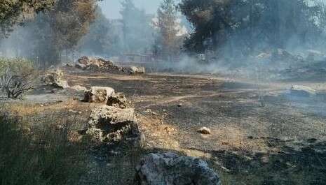 צילום: אסף גבור צילום: אסף גבור