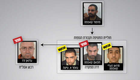 אינפוגרפיה: הילה גנץ אינפוגרפיה: הילה גנץ