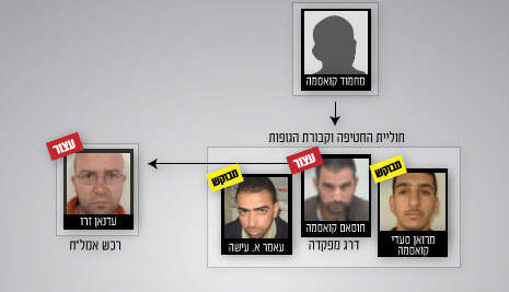 אינפוגרפיקה: הילה גנץ אינפוגרפיקה: הילה גנץ