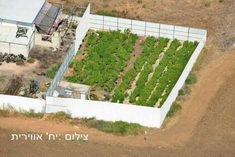 משטרה משטרה