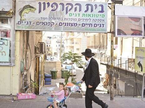 צילום: יוסי זליגר צילום: יוסי זליגר