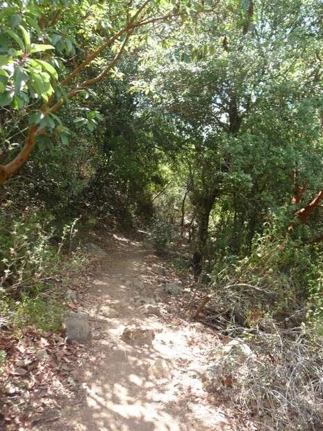צילום: אלעד בר-אילן צילום: אלעד בר-אילן
